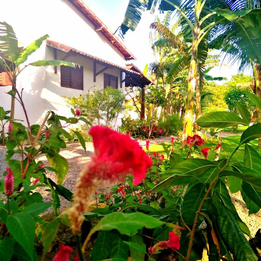 Tropicana Village Sao Miguel do Gostoso Exterior photo